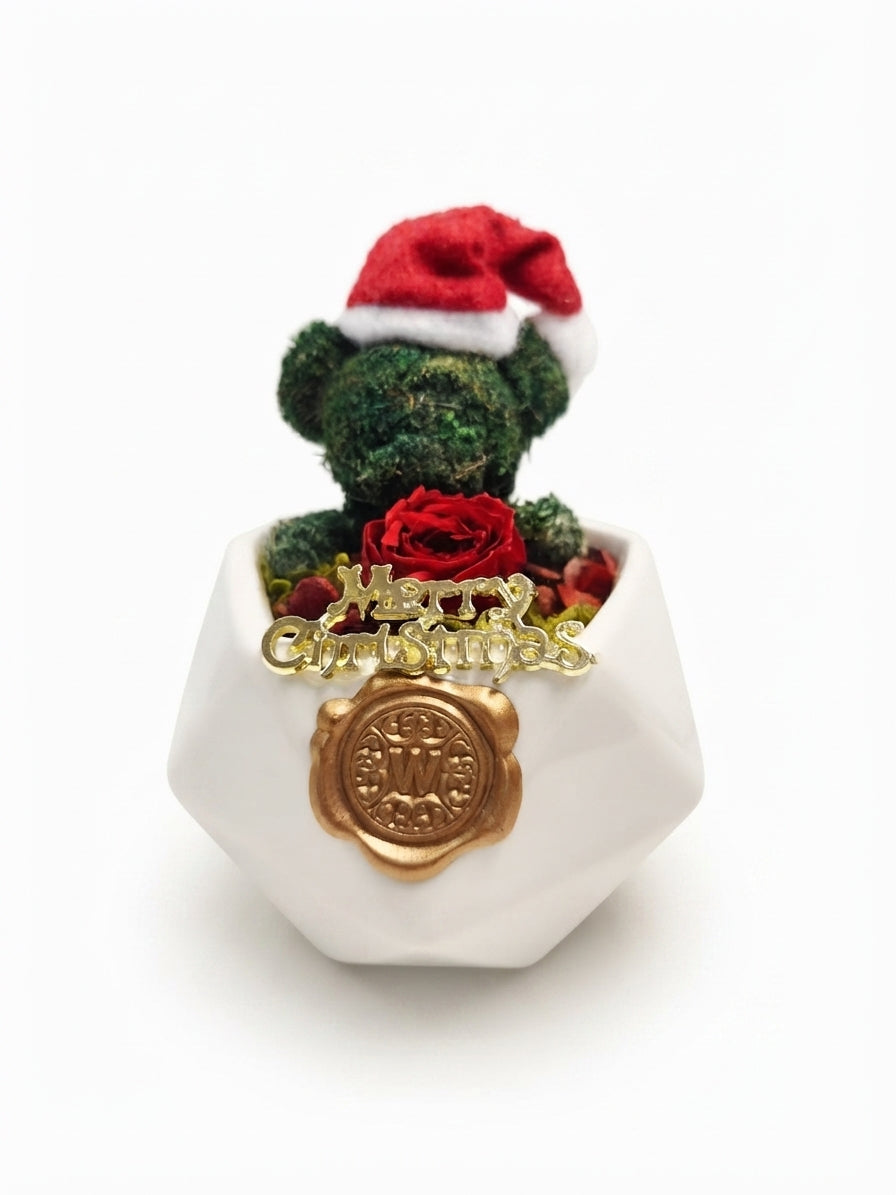 Merry Christmas Bear