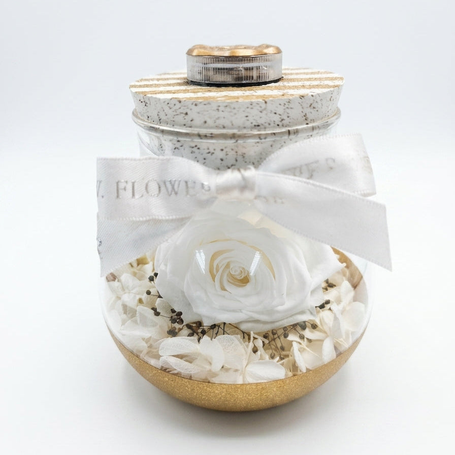 Little Wishful Glass - Ivory White